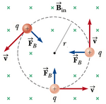 Trajectória circular para uma carga positiva \(q\) com velocidade \(\mathbf{v}\)n a presença de um campo magnético \(\mathbf{B}_{in}\) perpendicular.