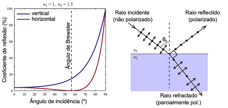 Ficheiro:OG-brewster.png